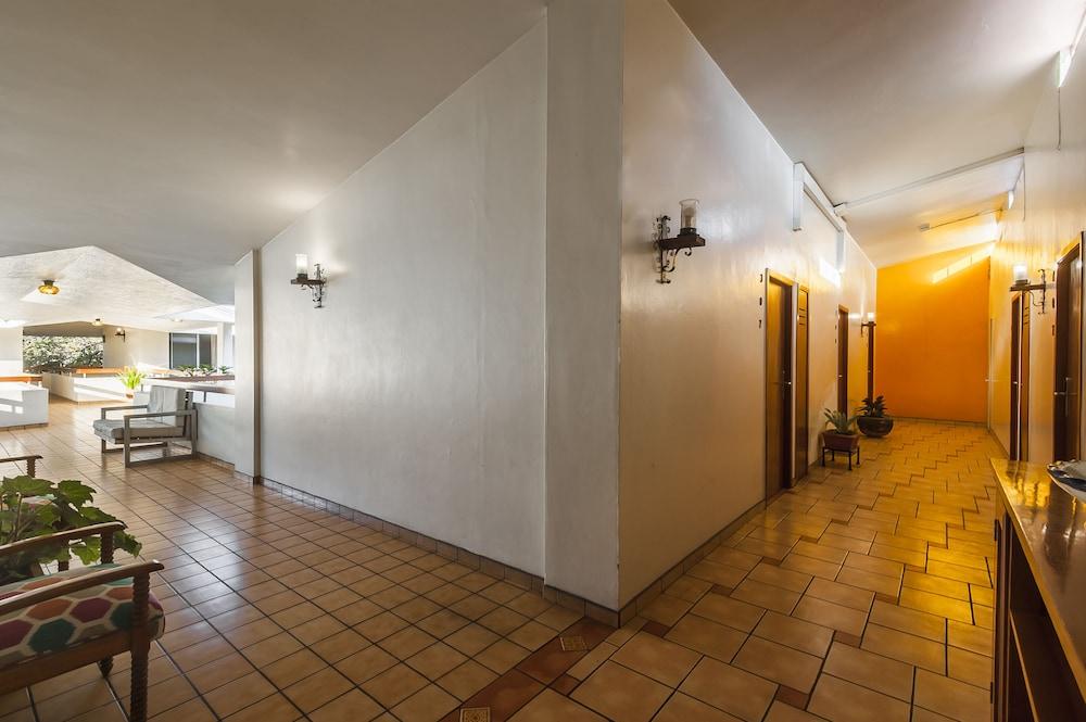 Hotel Isabel Guadalajara Dış mekan fotoğraf