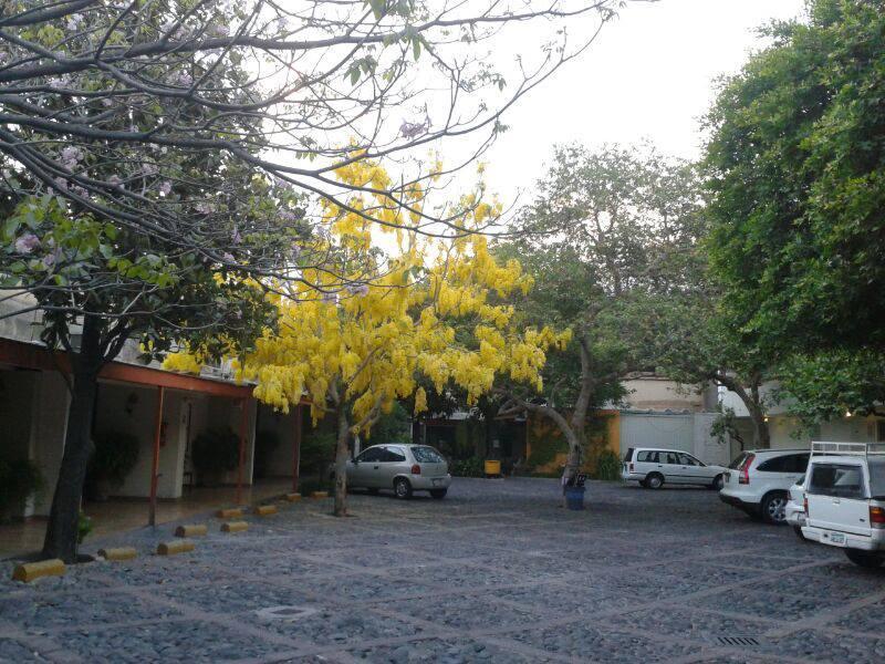 Hotel Isabel Guadalajara Dış mekan fotoğraf